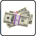 money.gif (4834 bytes)